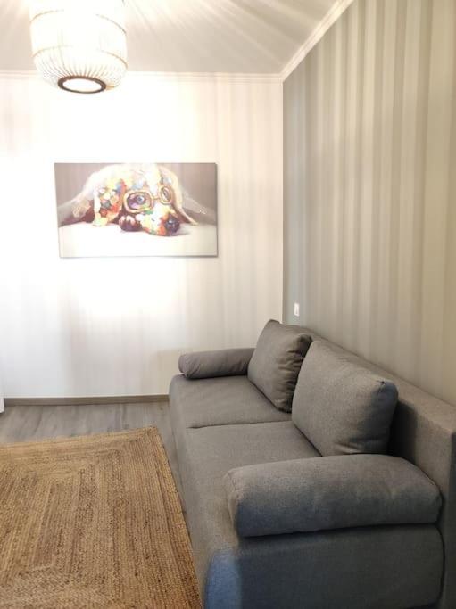 Cocon De Charline - Charme Et Elegance Dans Le Centre Apartamento Montauban Exterior foto